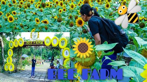bee farm camalig albay
